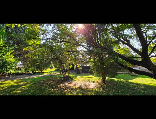 FARM FOR SALE IN WALKERVILLE CENTRAL